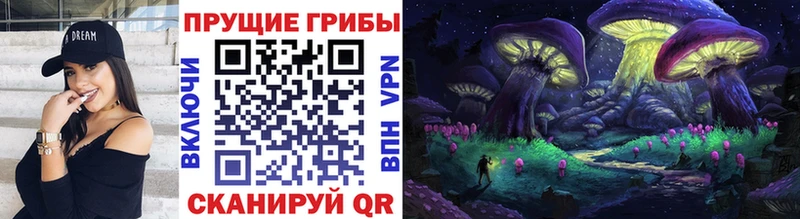 цена   Давлеканово  Галлюциногенные грибы Magic Shrooms 